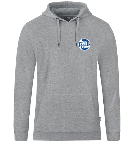 Gymnasium Adolfinum Hoody grau incl. Rückendruck